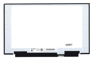 Матрица 15.6" LQ156M1JW25, 1920x1080 (Full HD), 40pin, IPS, 300Hz, 300Nit, 100% sRGB
