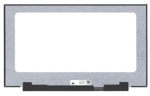 Матрица 17.3" LQ173M1JW04, 1920x1080 (Full HD), 40pin, IPS, 300Hz, 300Nit, 100% sRGB