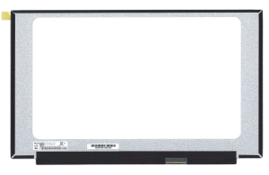 Матрица 15.6" NE156FHM-NX6, 1920x1080 (Full HD), 40pin, ADS, 144Hz, 250Nit, 100% sRGB