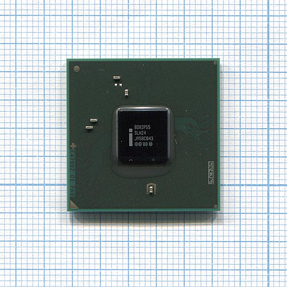 005564