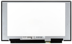 Матрица 15.6" LQ156M1JW23, 1920x1080 (Full HD), 40pin, IPS, 300Hz, 300Nit, 100% sRGB