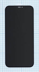 Защитное стекло Privacy "Анти-шпион" для  iPhone 12 Pro Max черное